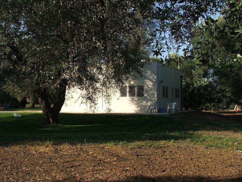 B&B Finestre Tra Gli Ulivi Mesagne Habitación foto